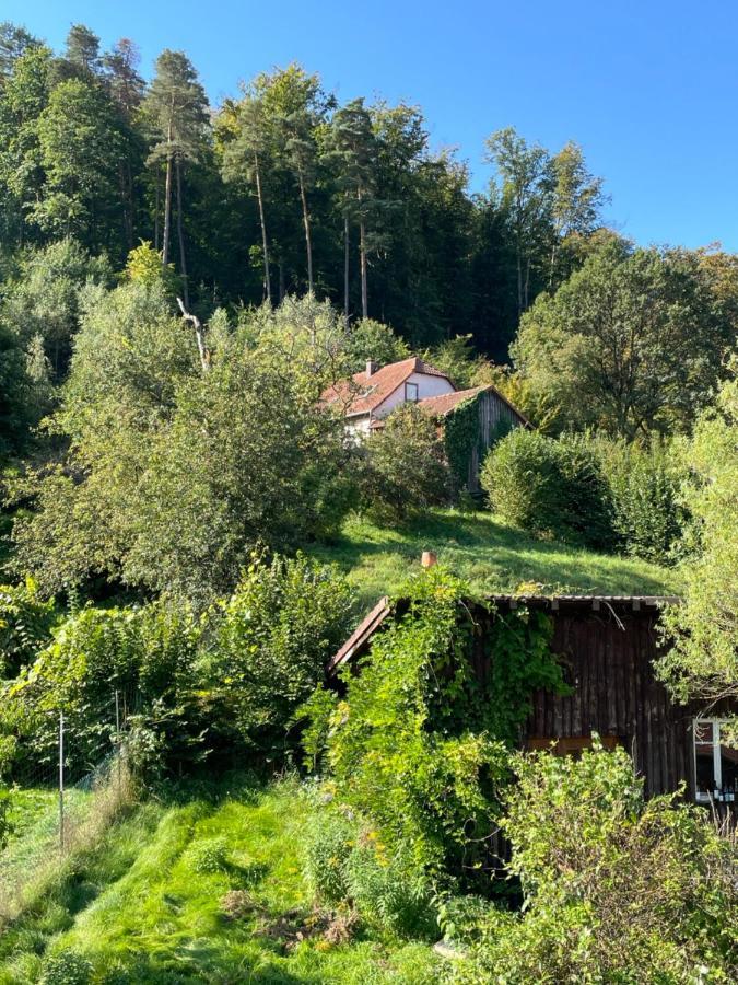 Mon Refuge En Vasgovie Meisenthal Exterior foto
