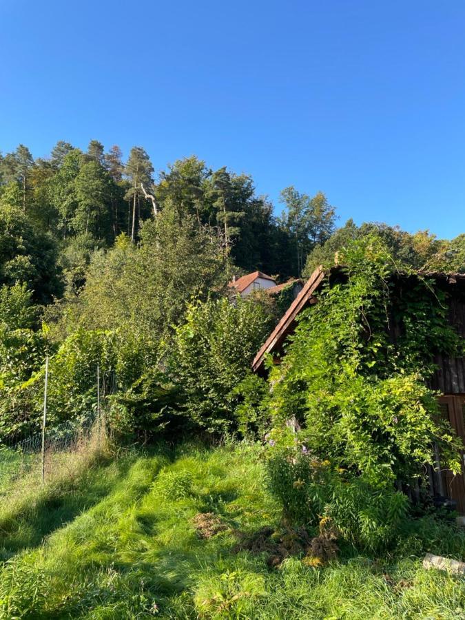 Mon Refuge En Vasgovie Meisenthal Exterior foto